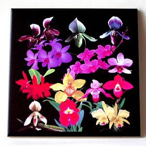 tile orchids galore 5308.jpg